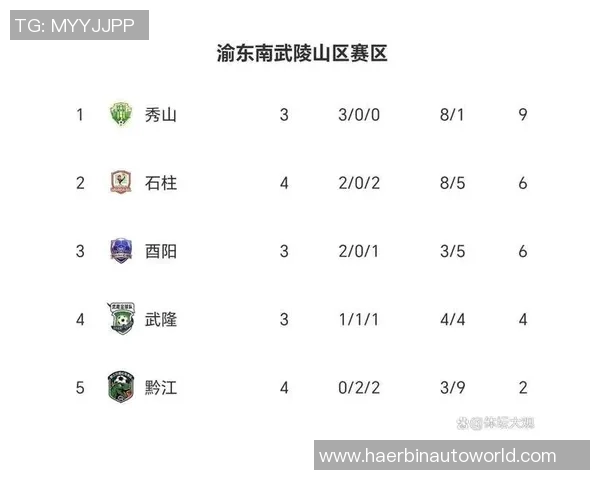 重庆网球队在钻石联赛积分榜上以89分稳居第一名展现强劲实力